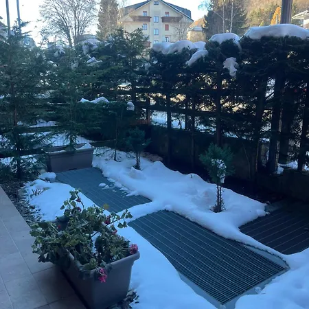 Snow Dream Aprica
