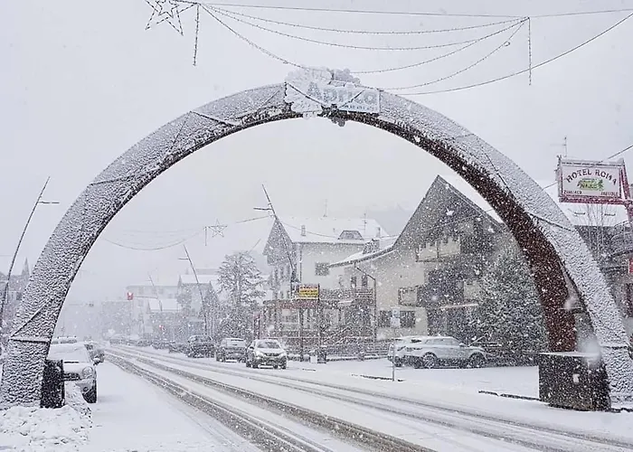 Apartment Snow Dream Aprica